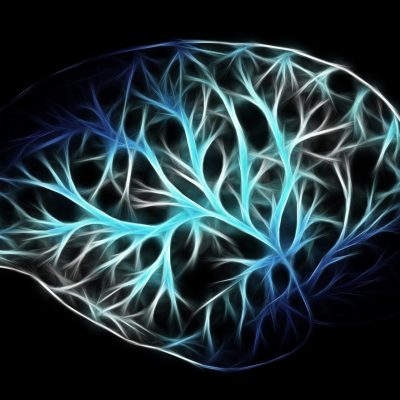Image_Plug_N_Play_Neurologie Niveau_1