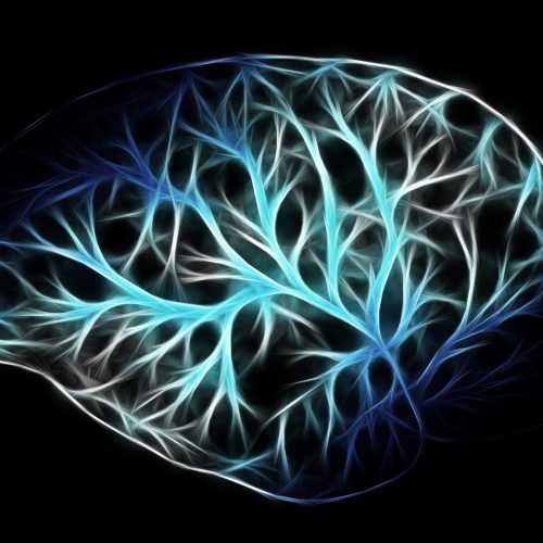 Image_Plug_N_Play_Neurologie Niveau_1